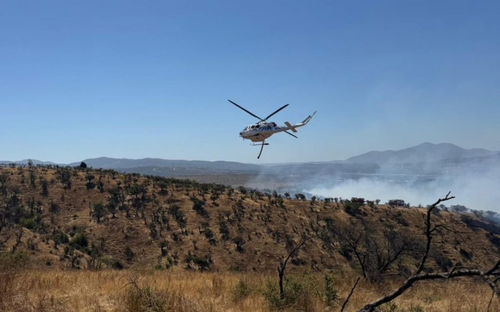 Decretan Alerta Roja en Limache por incendio forestal