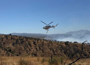 Decretan Alerta Roja en Limache por incendio forestal