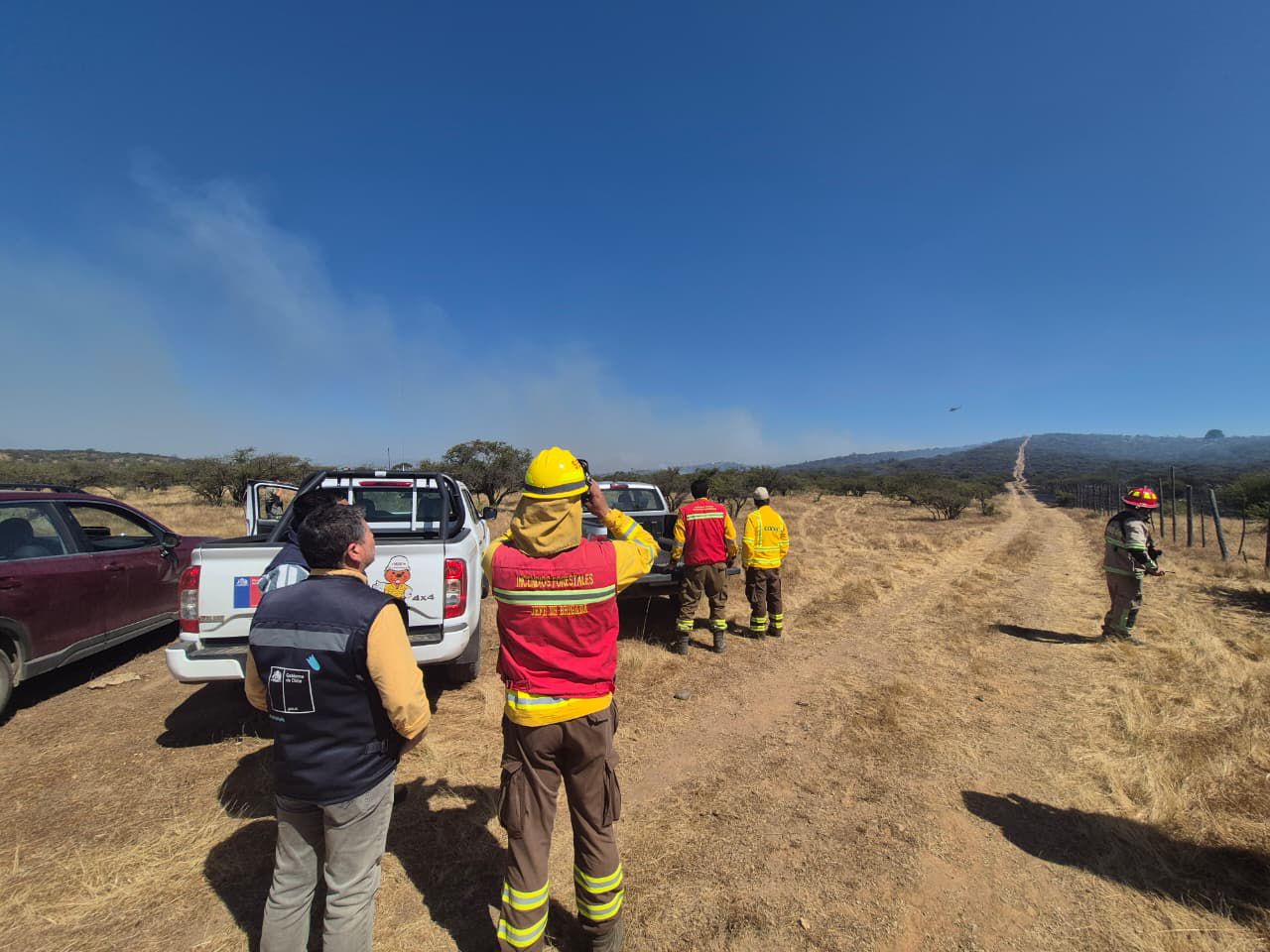 Decretan Alerta Roja en Limache por incendio forestal