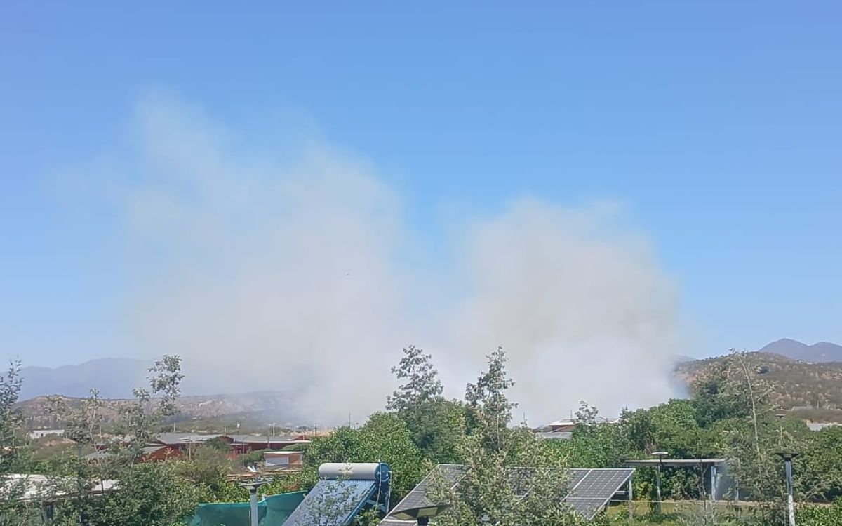 Decretan Alerta Roja en Limache por incendio forestal