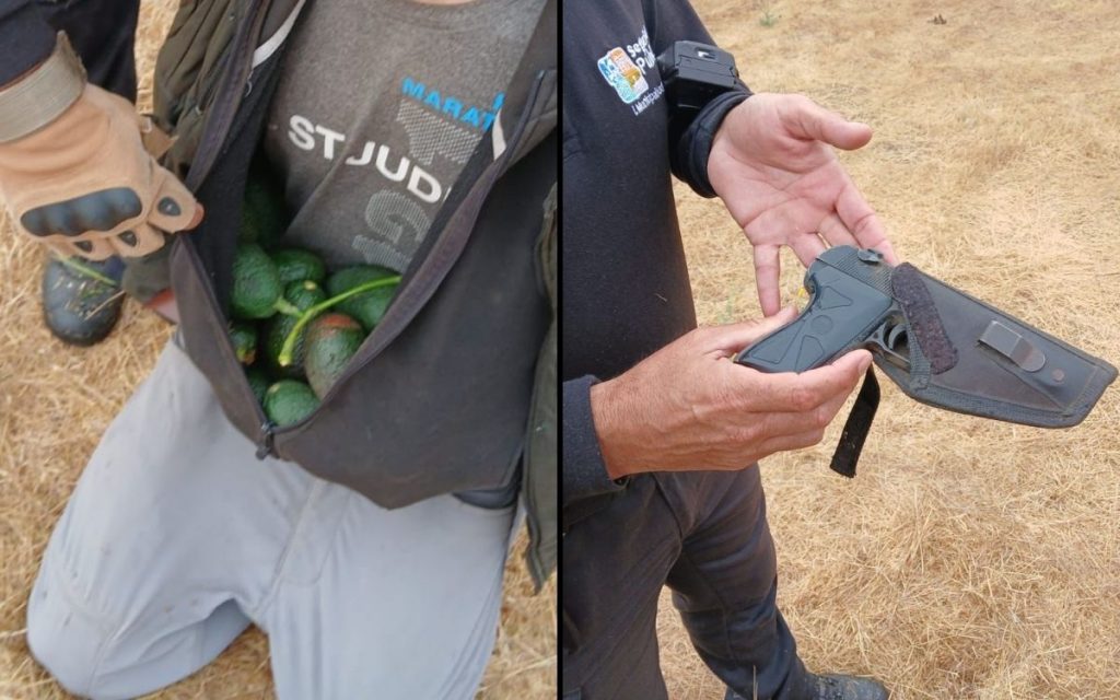Dos detenidos por robo de paltas en el Liceo Industrial de La Calera