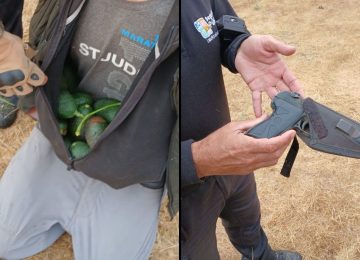 Dos detenidos por robo de paltas en el Liceo Industrial de La Calera