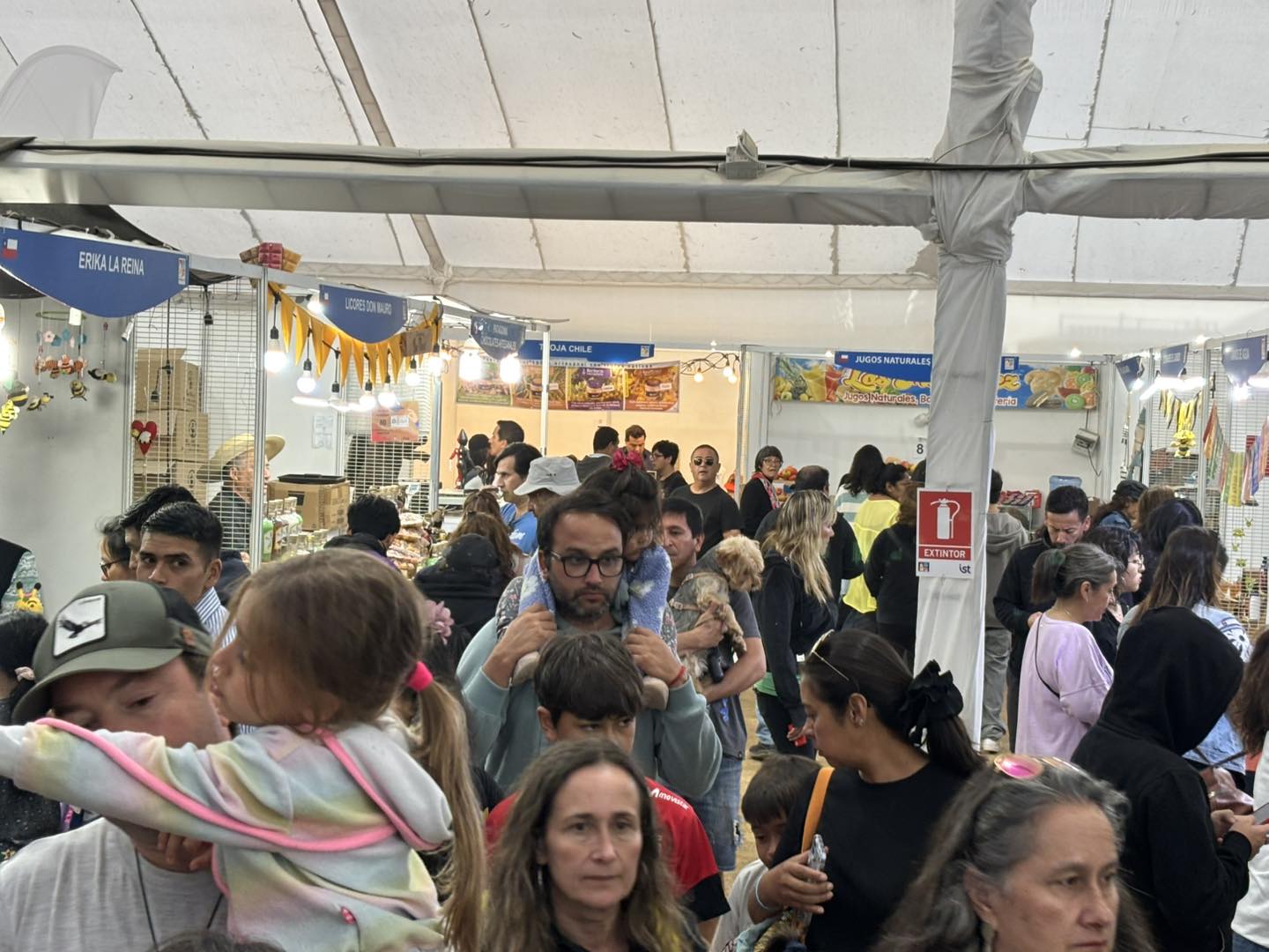 Están abiertas las postulaciones para la Expo Vive Papudo 2026