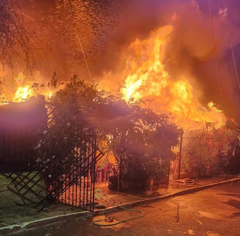 Incendios dañaron dos casas y 3 mil m² de vegetación en Hijuelas