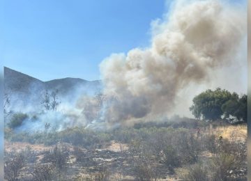 Se produjo incendio forestal en el borde del río en La Calera