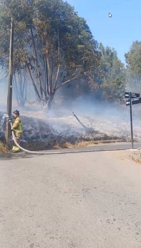 [VIDEO] Imputado de causar incendio forestal cuando era bombero queda en prisión preventiva