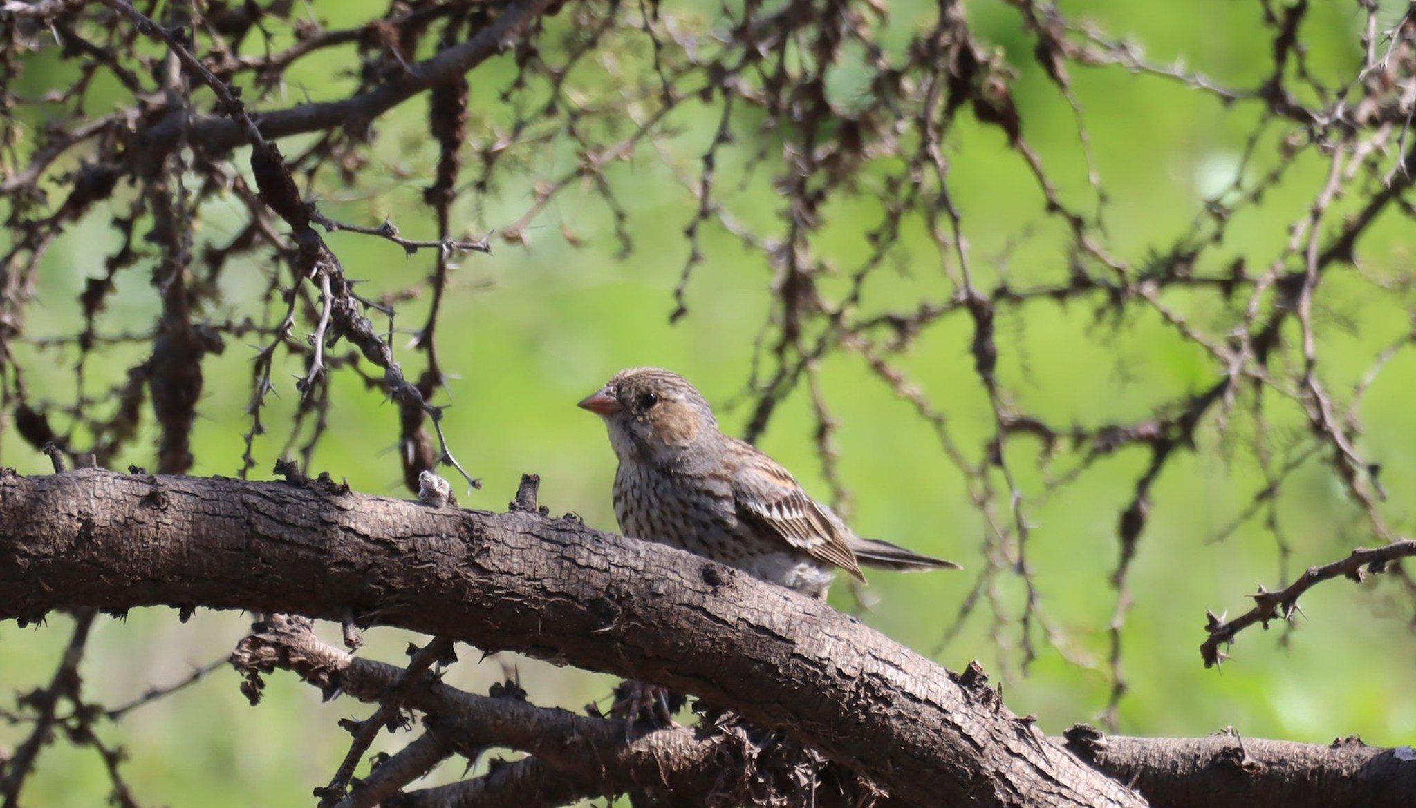Abren inscripciones para la Semana de los Humedales en Quillota