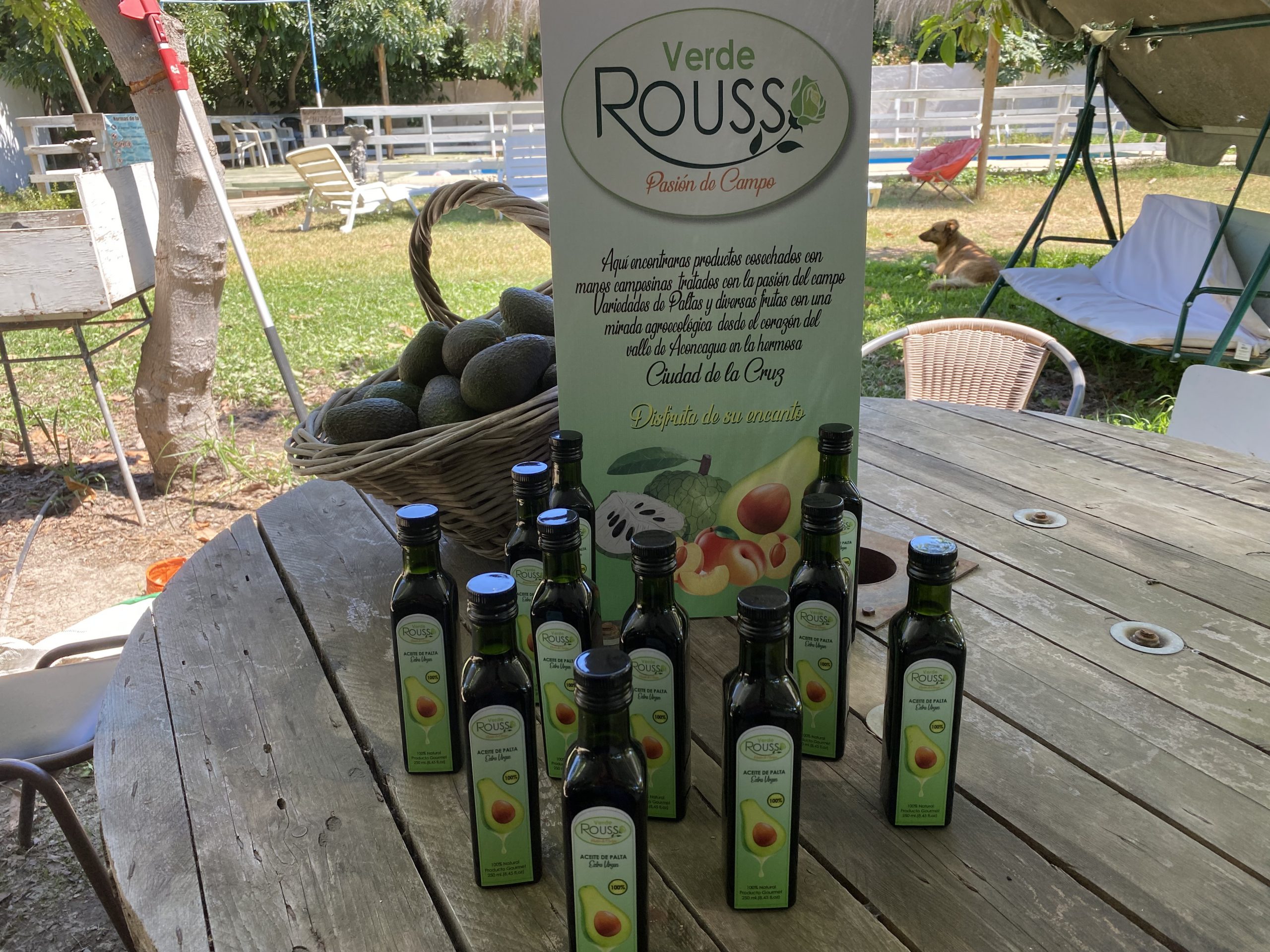 Agricultora de La Cruz destaca con su producción de aceite de palta