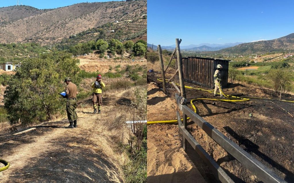 Carabineros detuvo a una persona por incendio forestal en San Pedro