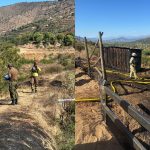 Carabineros detuvo a una persona por incendio forestal en San Pedro