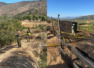 Carabineros detuvo a una persona por incendio forestal en San Pedro