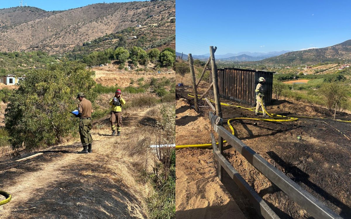Carabineros detuvo a una persona por incendio forestal en San Pedro