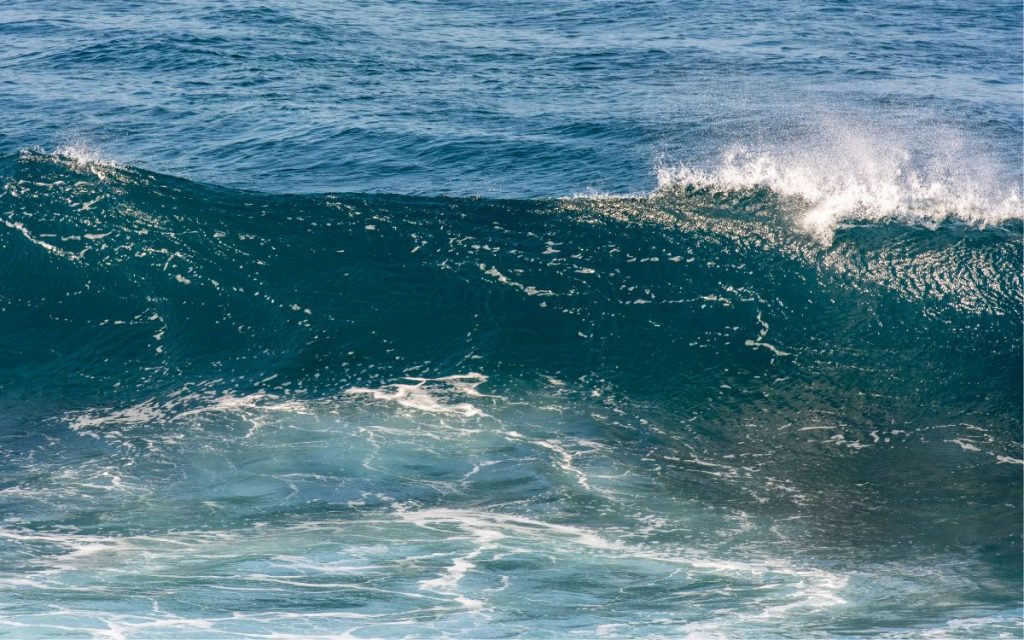 Conmoción por la muerte de niño surfista de Zapalla