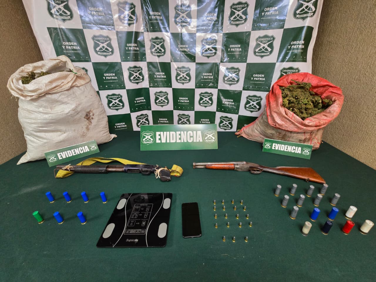 Incautan más de 8 mil plantas de cannabis en El Melón