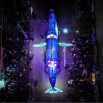 Pasacalles con 22 especies marinas nativas llega a La Calera