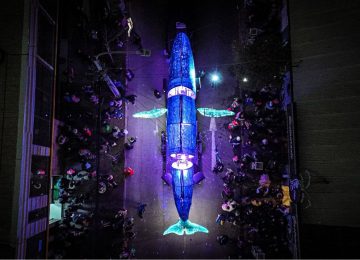 Pasacalles con 22 especies marinas nativas llega a La Calera