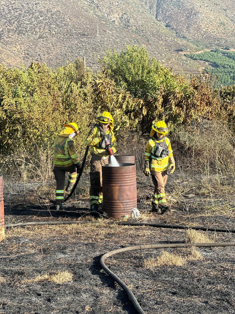 Quema de basura provocó incendio forestal en Hijuelas hay un detenido