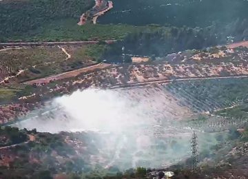 Reportan incendio forestal en el Cajón de San Pedro, en Quillota