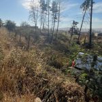 Vehículo menor desbarrancó en Colmo, en Quillota