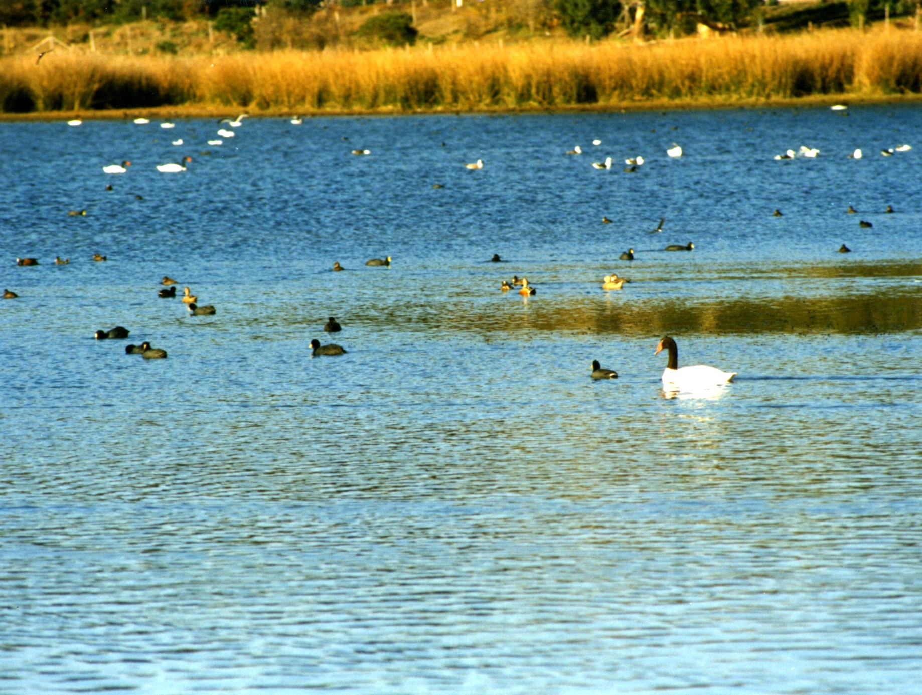 Visita al santuario de la naturaleza Laguna El Peral