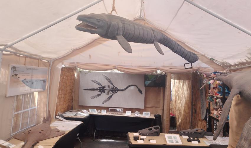 Apertura del Museo Paleontológico de Algarrobo