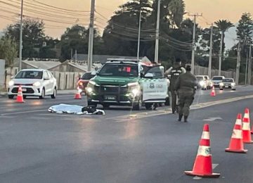 Adulto mayor murió por atropello en el Camino Troncal de Quillota