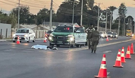 Adulto mayor murió por atropello en el Camino Troncal de Quillota