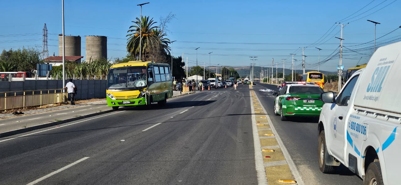 Adulto mayor murió tras ser atropellado en el Camino Troncal de Quillota