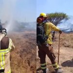 Bomberos y Conaf controlan incendio forestal en Catapilco