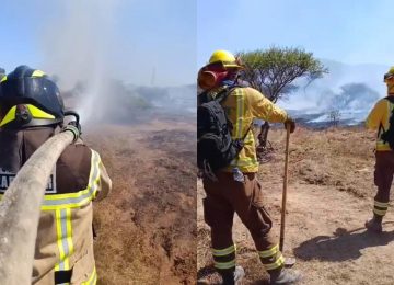 Bomberos y Conaf controlan incendio forestal en Catapilco