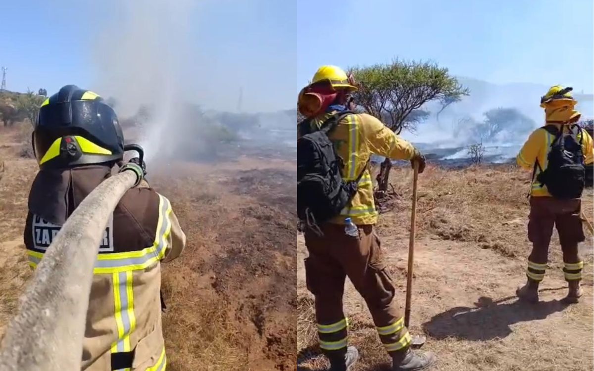 Bomberos y Conaf controlan incendio forestal en Catapilco