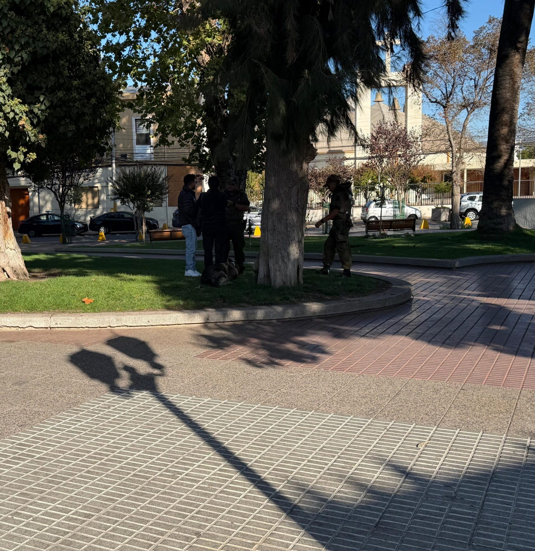 Con el apoyo de Fiona Carabineros evitó intento de estafa en Quillota