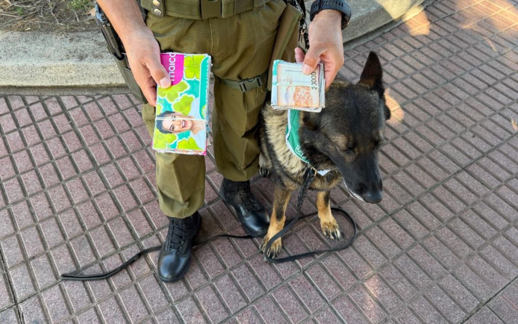 Con el apoyo de "Fiona" Carabineros evitó intento de estafa en Quillota