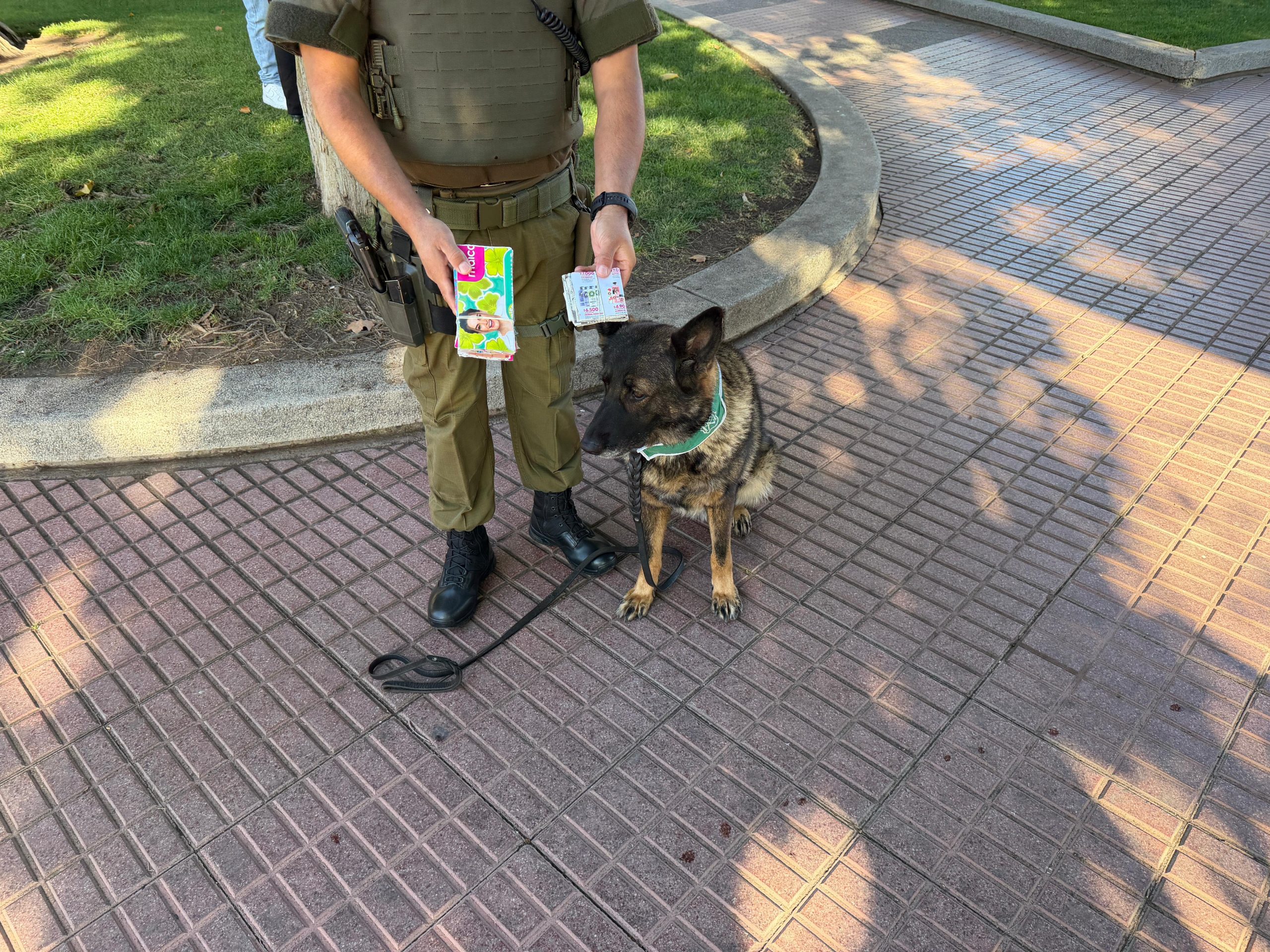 Con el apoyo de Fiona Carabineros evitó intento de estafa en Quillota