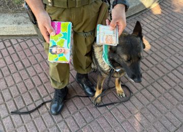 Con el apoyo de "Fiona" Carabineros evitó intento de estafa en Quillota