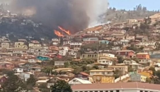 Ordenan evacuar sector de Valparaíso por incendio forestal