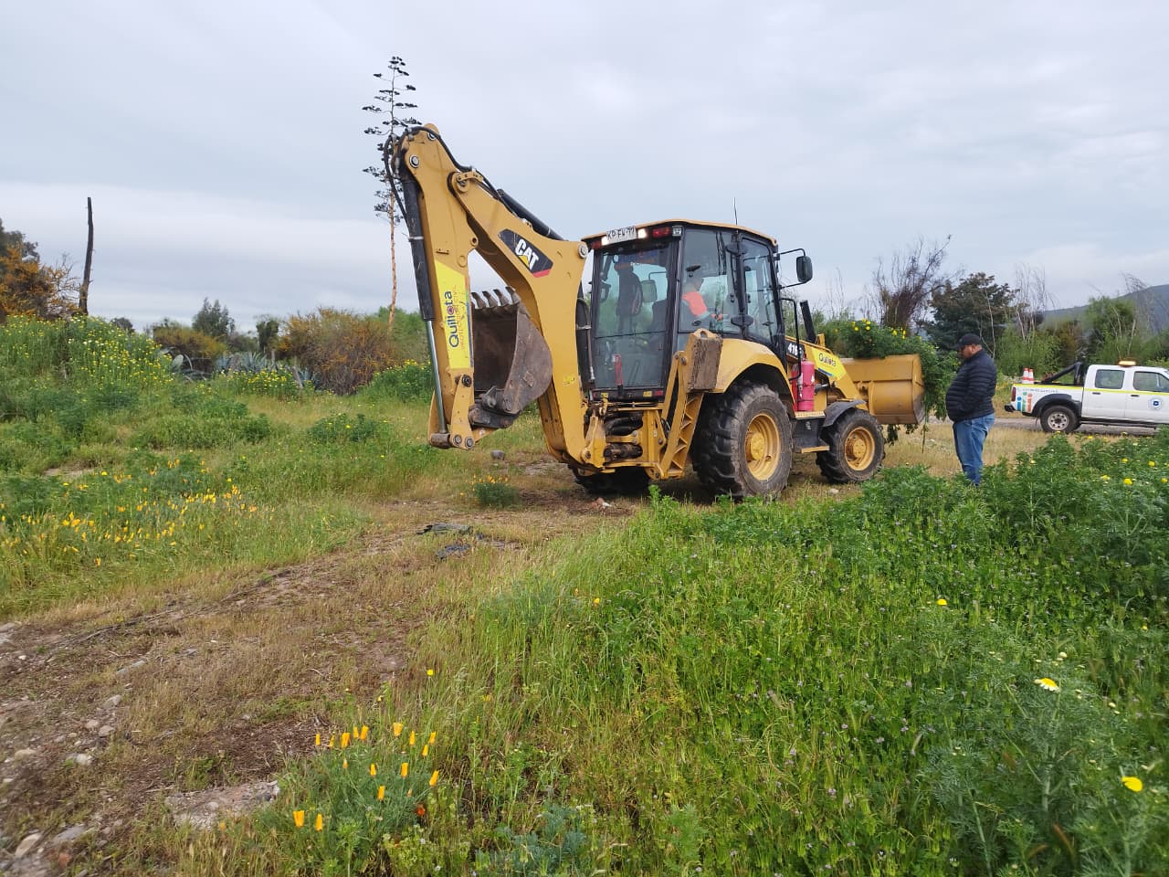 Quillota 45,7 hectáreas se intervinieron en primavera-verano para prevenir incendios