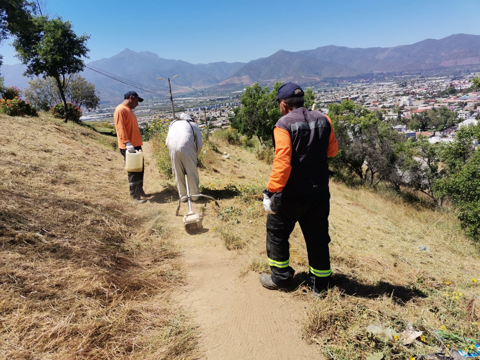 Quillota 45,7 hectáreas se intervinieron en primavera-verano para prevenir incendios