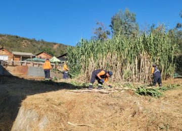 Quillota: 45,7 hectáreas se intervinieron en primavera-verano para prevenir incendios