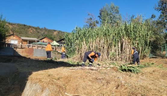 Quillota: 45,7 hectáreas se intervinieron en primavera-verano para prevenir incendios