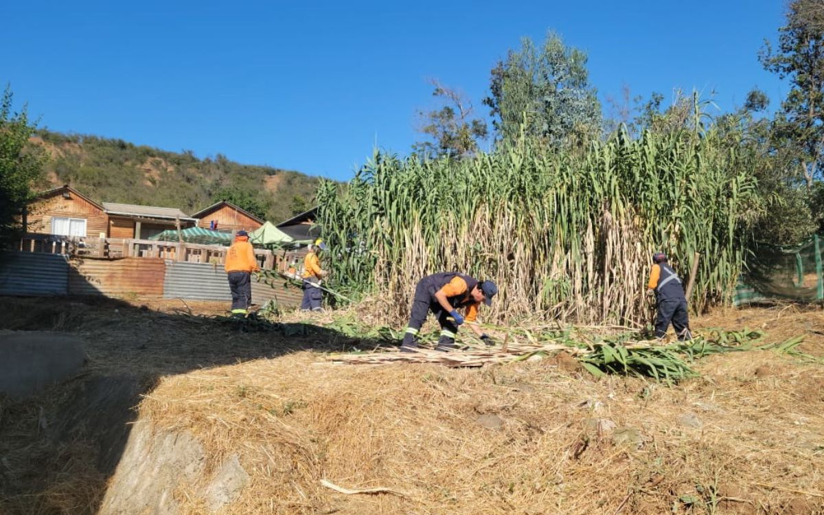 Quillota: 45,7 hectáreas se intervinieron en primavera-verano para prevenir incendios