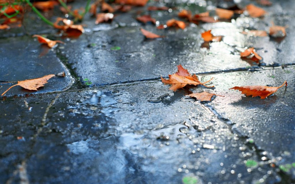 Quillota: Proyectan montos de lluvia de entre 5 a 8 mm y posible tormenta eléctrica