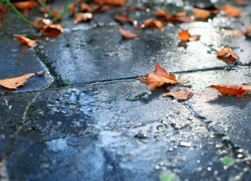 Quillota: Proyectan montos de lluvia de entre 5 a 8 mm y posible tormenta eléctrica