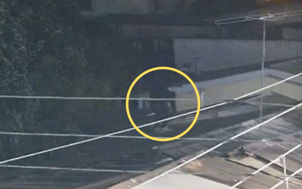 [VIDEO] Frustran robo nocturno en locales comerciales de Quillota