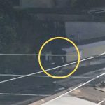 [VIDEO] Frustran robo nocturno en locales comerciales de Quillota