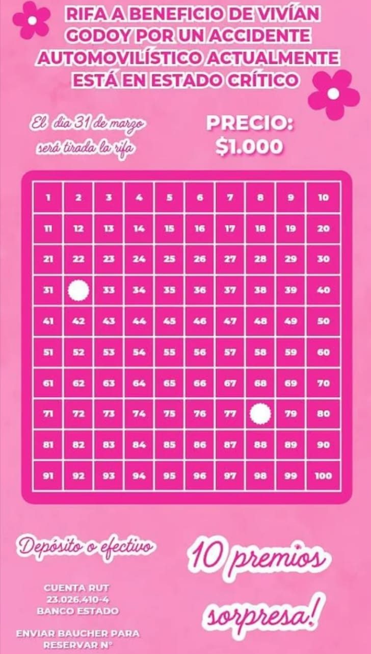 rifa solidaria vivian godoy