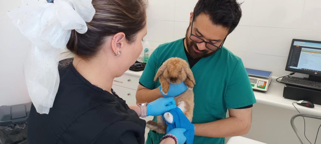 uvm atencion veterinaria