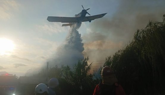 Combaten incendio en el sector Don Bosco de La Cruz
