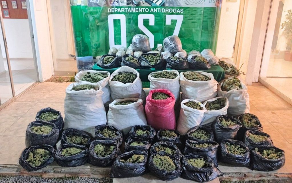 Descubren acopio con 170 kilos de droga en Cabildo