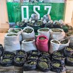 Descubren acopio con 170 kilos de droga en Cabildo